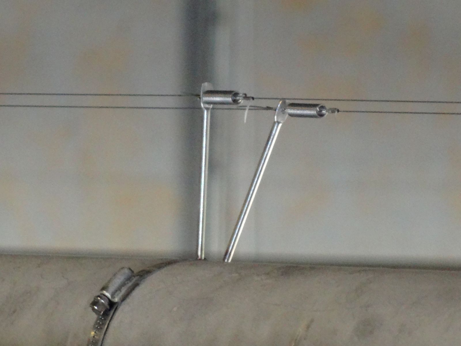 Bird Wire Installer in Virginia